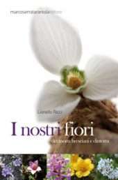 I nostri fiori dei monti bresciani e dintorni