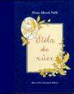 Stela de Ruer