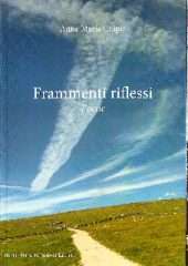 Frammenti riflessi