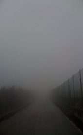 Cuore di nebbia