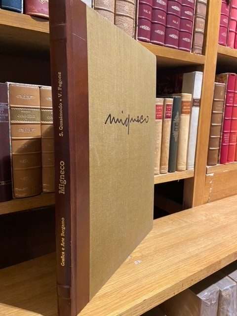 migneco - immagine 4