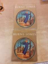Edward Burne-Jones. The flower book